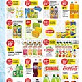 Antevisão Folheto PINGO DOCE Lojas Pequenas Promoções de 1 a 7 dezembro